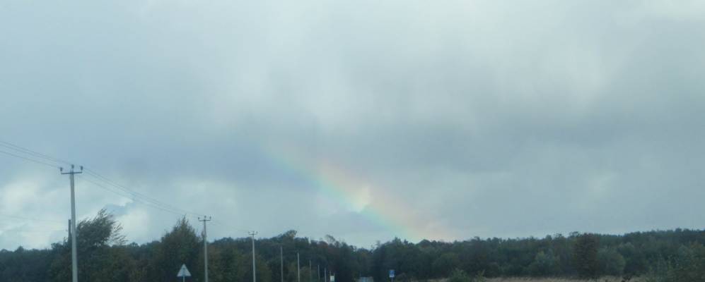 
            Фотография Дивного