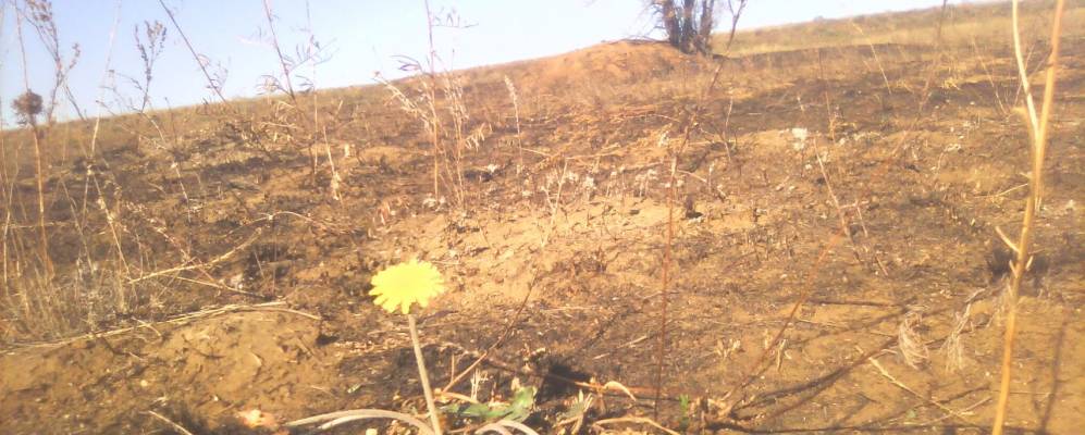 
            Фотография Мансурово