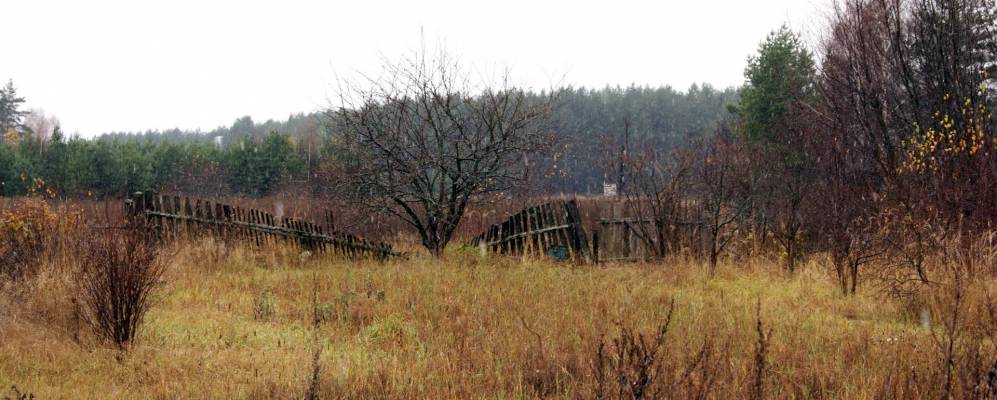 
            Фотография Жолтиково