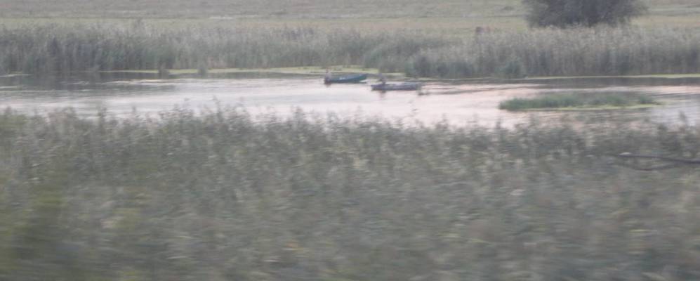 
            Фотография Пчеловодного