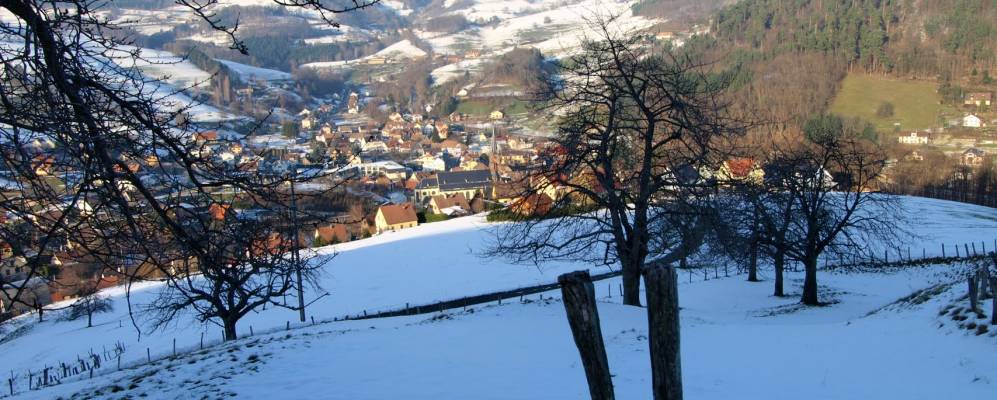 
            Фотография Лапутруа