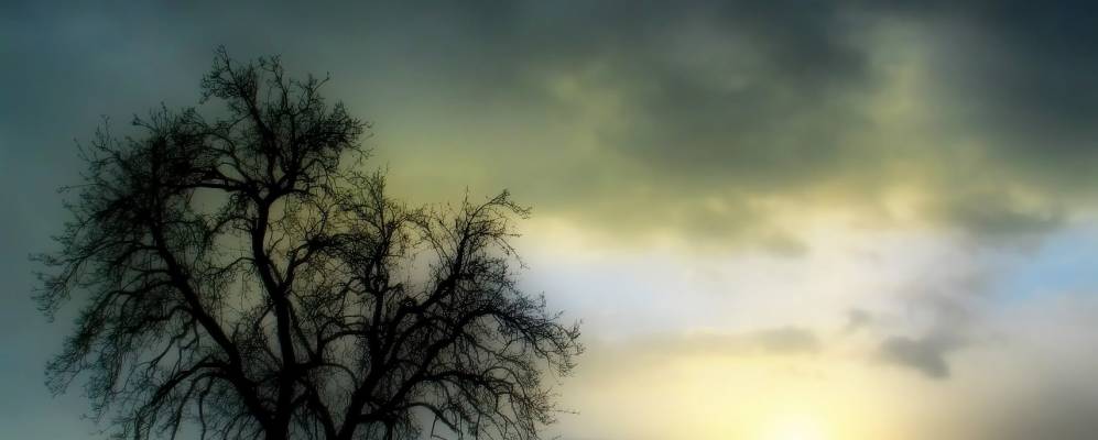 
            Фотография Хемхофена