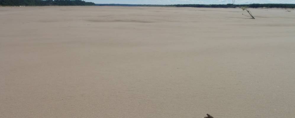 Фотография Липовика