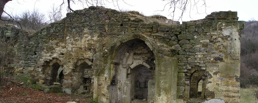 
            Фотография Горлинки