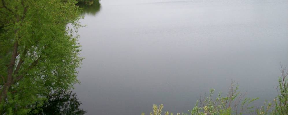 
            Фотография Лидинки