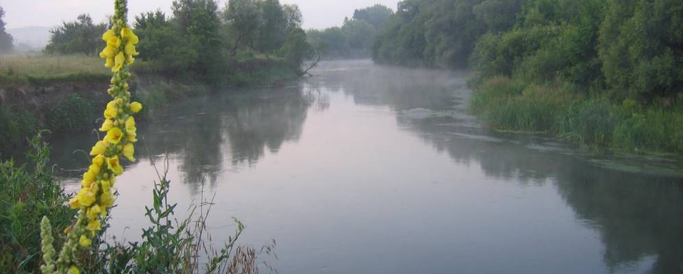 
            Фотография Васильполья