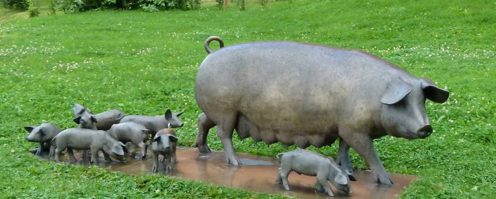 Фотография Хамара