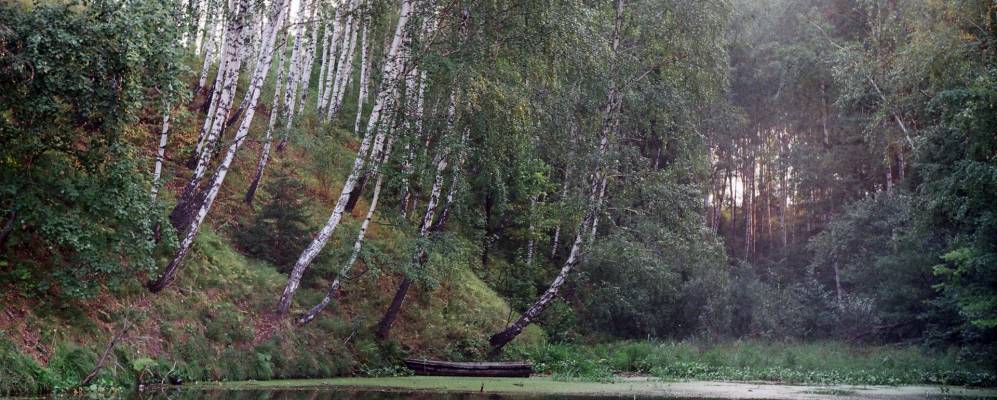 
            Фотография Нагавицыно