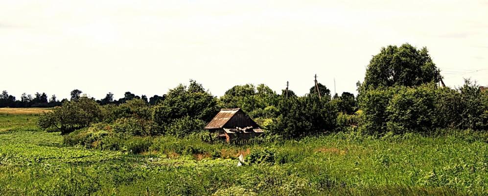 Фотография Круговца