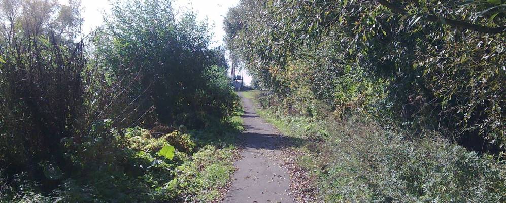 
            Фотография Богородицкого