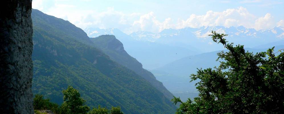 
            Фотография Барби