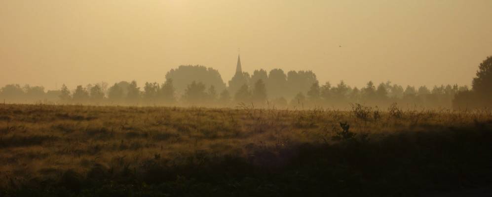 
            Фотография Арло