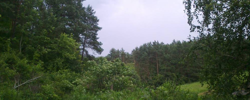 
            Фотография Черешневки