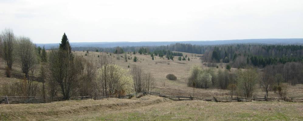 Фотография Щеглов