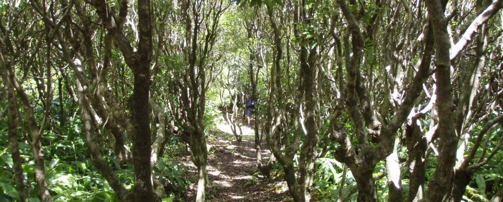 
            Фотография Вали-ди-Камбра