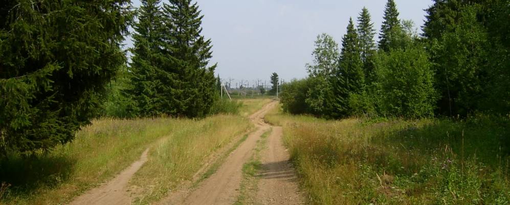 
            Фотография Березовки