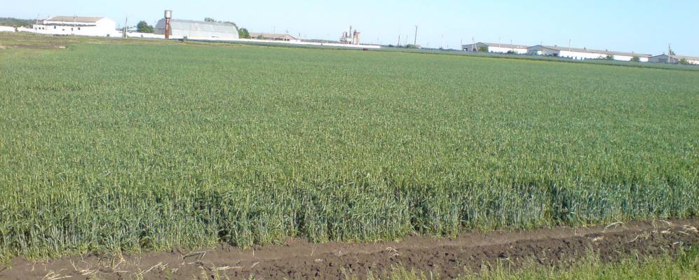 Фотография Третяковки