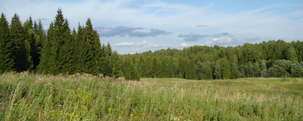 
            Фотография Салаватов