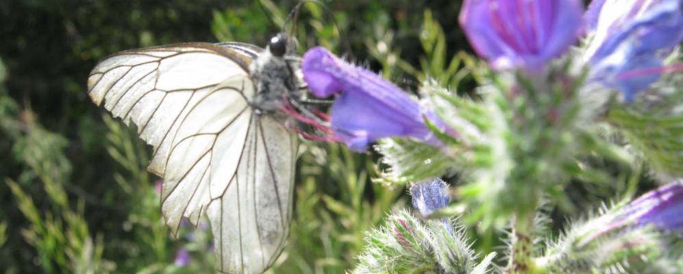 
            Фотография Бидон