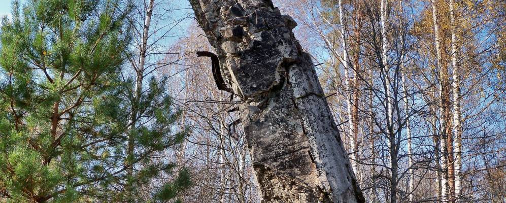 Фотография Безгрибово