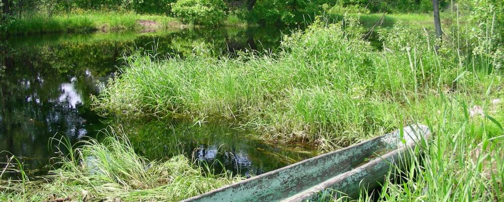 
            Фотография Мокрого