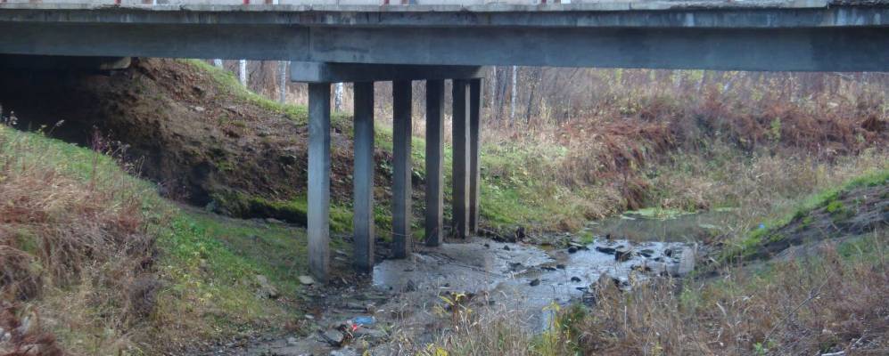 
            Фотография Песьянки