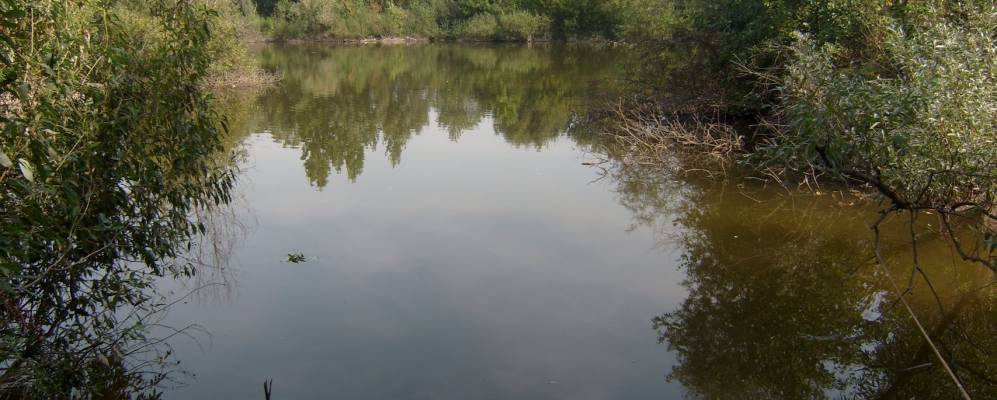 
            Фотография Снагости