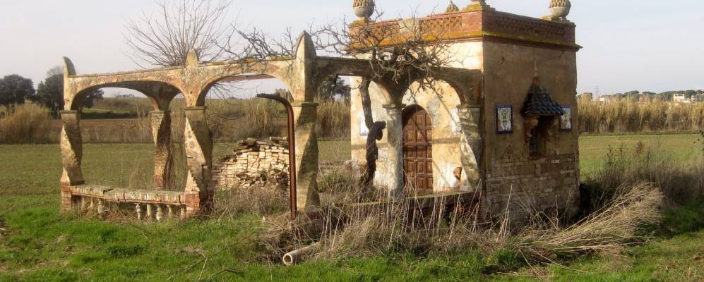 
            Фотография Льягостеры