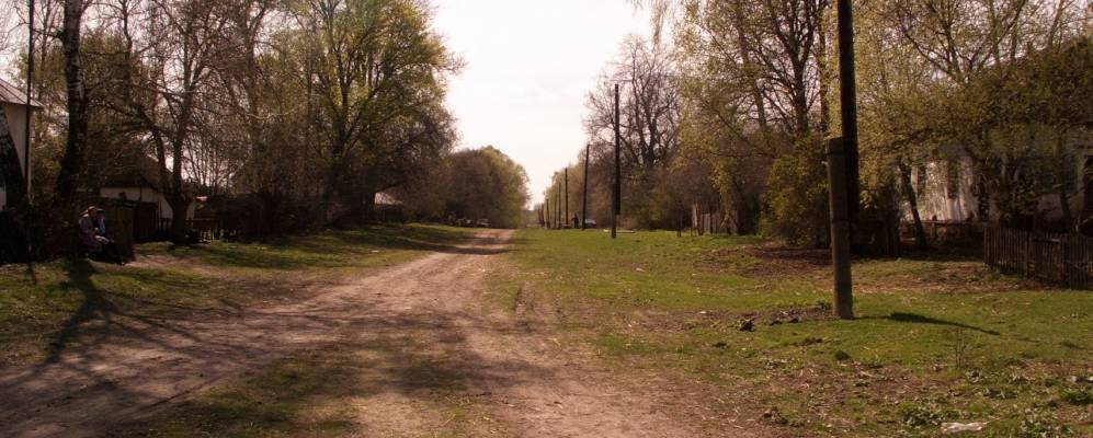 
            Фотография поселка Сетки