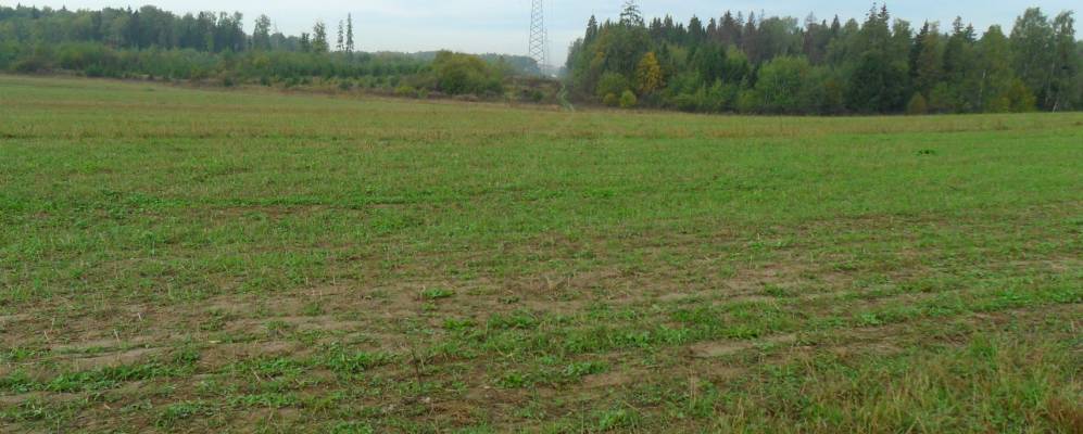 Фотография Григорково