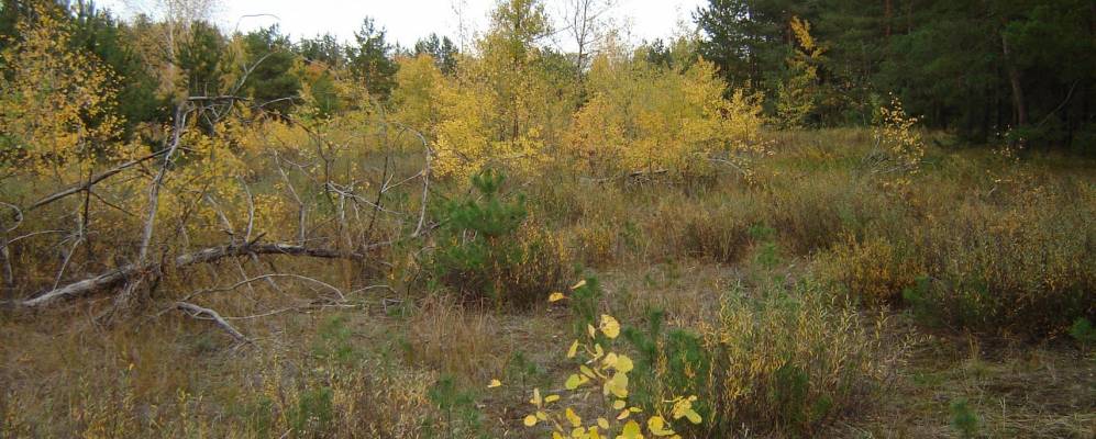 
            Фотография Новоселовки