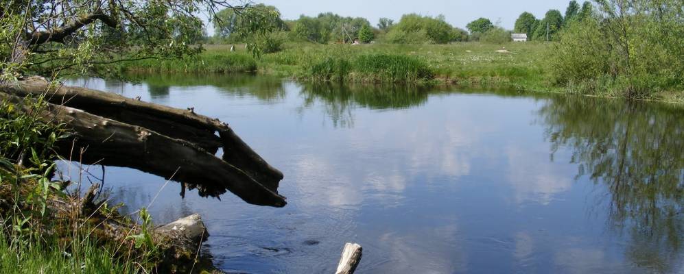 
            Фотография Песков