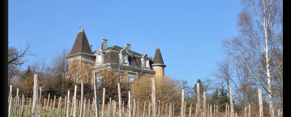 
            Фотография ВаттВилье