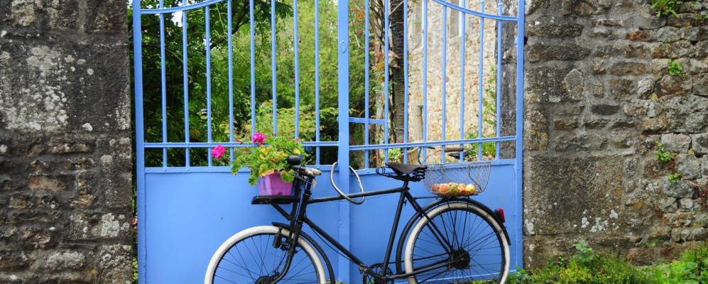 Фотография Мортена