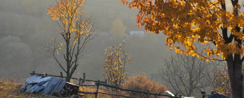 
            Фотография Стоки