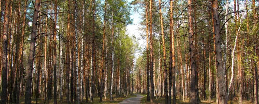 
            Фотография Кундыша