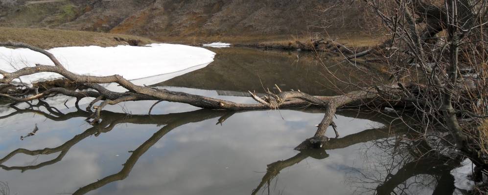 
            Фотография Яновки