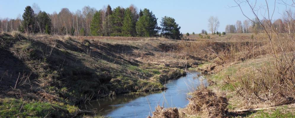 
            Фотография Новолекомского