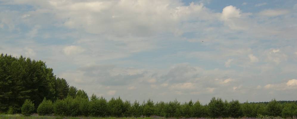 Фотография Высоково