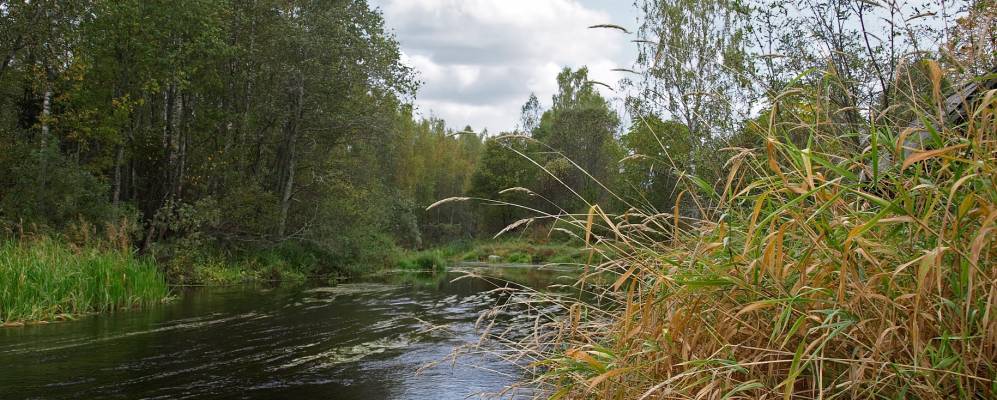 
            Фотография Новодемидово