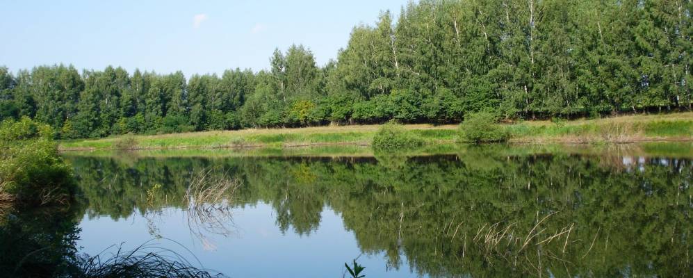 
            Фотография Становляновки