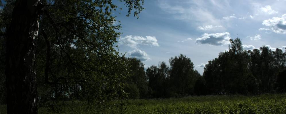 
            Фотография Туменского