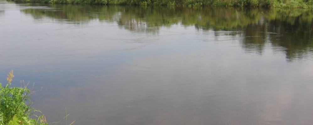 
            Фотография Бережка