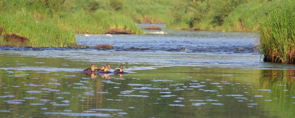 
            Фотография Фадеево
