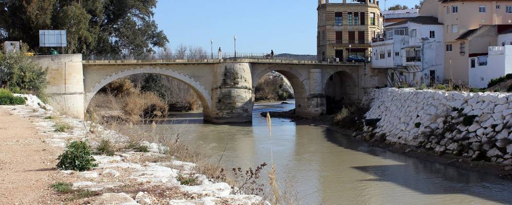
            Фотография Пуенте-Хениль