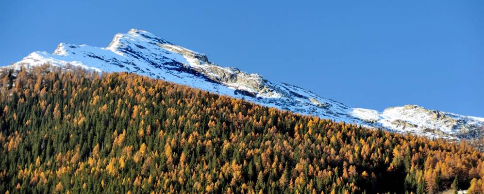 
            Фотография Цималмото