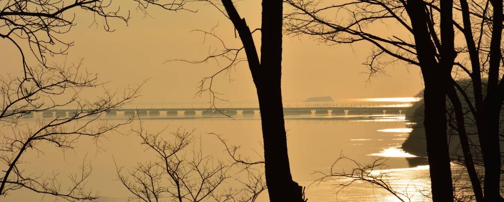 
            Фотография Де-Фриза