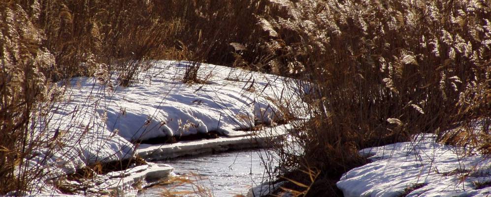 
            Фотография Приволья