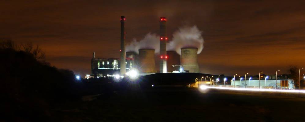 
            Фотография Рагли