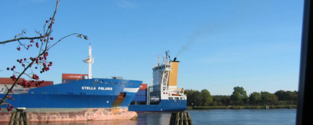 
            Фотография Нюббель